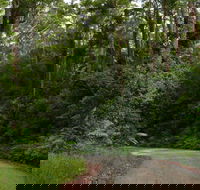 Moonpar Forest drive - Cascade National Park - Accommodation Bookings