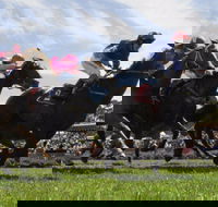 Moruya Racecourse - Accommodation Bookings