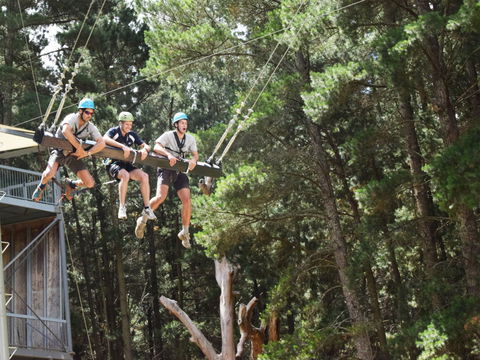 Mount Lofty Adventure Hub - Accommodation Bookings 1