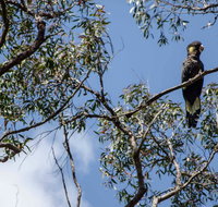 Mummel Gulf National Park - Accommodation Bookings