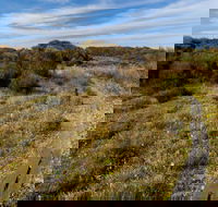 Murramarang Aboriginal Area Walking Track - Accommodation Bookings