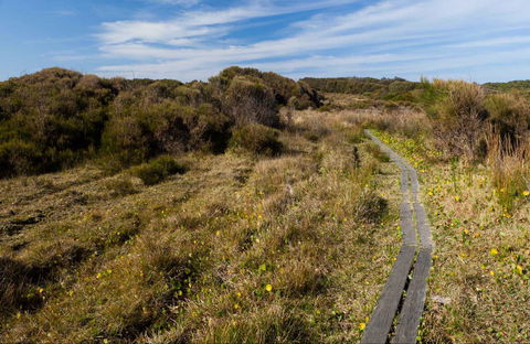 Murramarang Aboriginal Area Walking Track - Accommodation Bookings 0