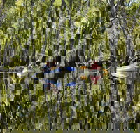 Murray River canoe trails - Accommodation Bookings