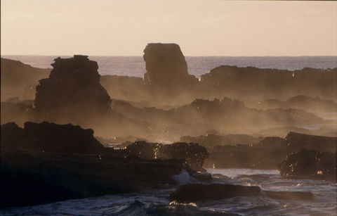 Mystery Bay Short Walk - Accommodation Bookings 1