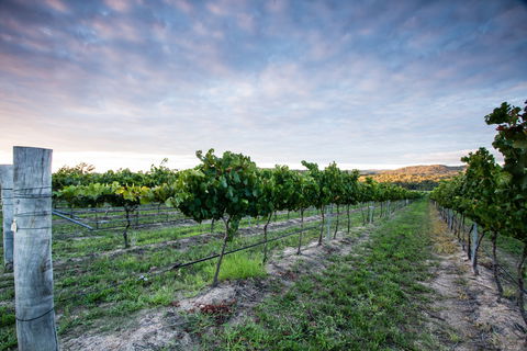 Nature And Foodies Trail - Accommodation Bookings 0