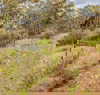 Old Mountain Road Walking Track - Accommodation Bookings