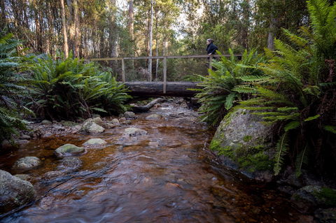 O'Neills Creek Picnic Reserve - Accommodation Bookings 0