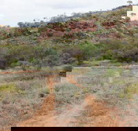 Original Glen Helen Homestead - Accommodation Bookings