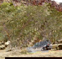Owen Springs Reserve - Accommodation Bookings