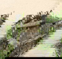 Pebbly Beach to Snake Bay walking track - Accommodation Bookings