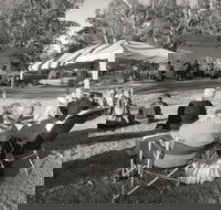 Pioneer Park - Accommodation Bookings