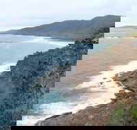 Pretty Beach to Snapper Point Walking Track - Accommodation Bookings