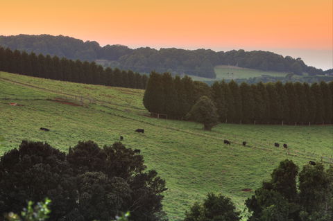 Robertson Heritage Railway Station - Accommodation Bookings 2