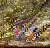 Russell Island Canaipa - Accommodation Bookings