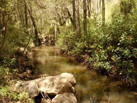 Sandy Creek Track - Accommodation Bookings 0