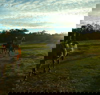 Scenic NSW Horse Riding Centre - Accommodation Bookings