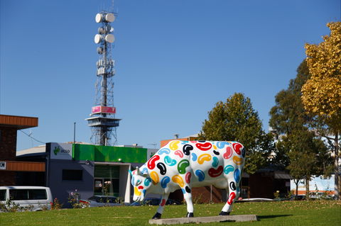 Shepparton Tower - Accommodation Bookings 1