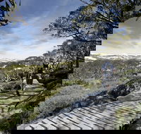 Snow Gums boardwalk - Accommodation Bookings