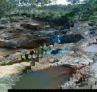 South Kolan - Accommodation Bookings