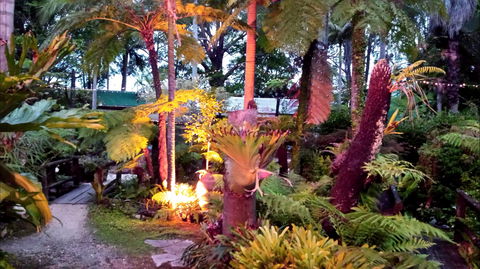 The Fernery At Diamond Waters - Accommodation Bookings 0