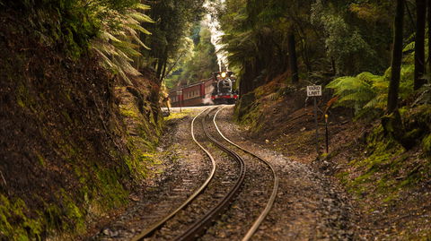 The West Coast Wilderness Way - Accommodation Bookings 0