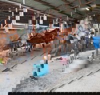 The Equine Club - Accommodation Bookings