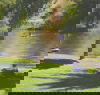 The Lions Junction Park - Tumut - Accommodation Bookings