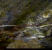Thredbo Valley Track - Accommodation Bookings