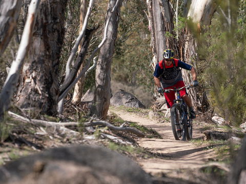 Thredbo Valley Track - Accommodation Bookings 2