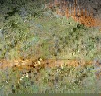 Time Walk Windjana Gorge National Park - Accommodation Bookings