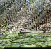 Wallaby Walking Track - Accommodation Bookings