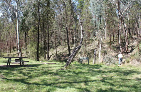 Wallaby Walking Track - Accommodation Bookings 0