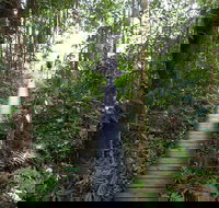 Walker Creek - Accommodation Bookings