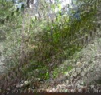 Wangaratta Common Nature Conservation Reserve - Accommodation Bookings