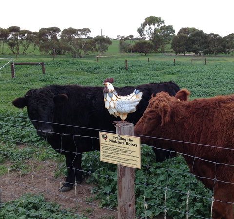 Weetulta - Accommodation Bookings 1