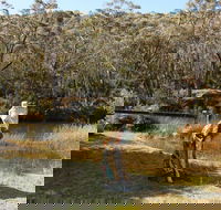 Wild Valley Art Park - Accommodation Bookings