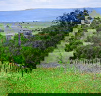 Wild Dog Barrier Fence - Accommodation Bookings