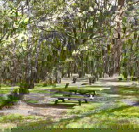 Wollomombi Gorge and Falls Picnic Area - Accommodation Bookings