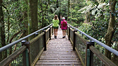 Wonga Walk - Accommodation Bookings 0