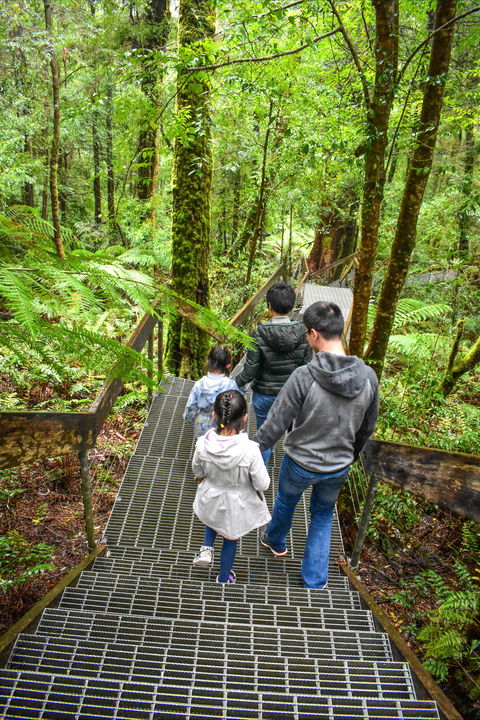 Yarra Ranges National Park - Accommodation Bookings 0
