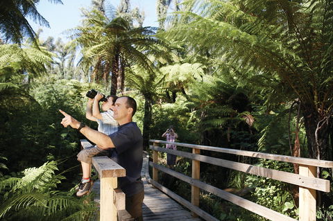 Yarra Ranges National Park - Accommodation Bookings 1