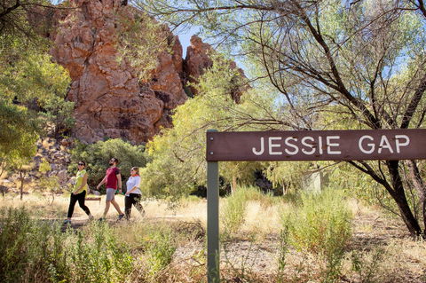 Yeperenye / Emily And Jessie Gaps Nature Park - Accommodation Bookings 1