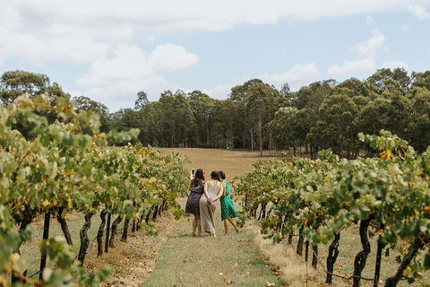 Hunter Valley Premium Food & Drink Pairing Tour - Accommodation Bookings 5