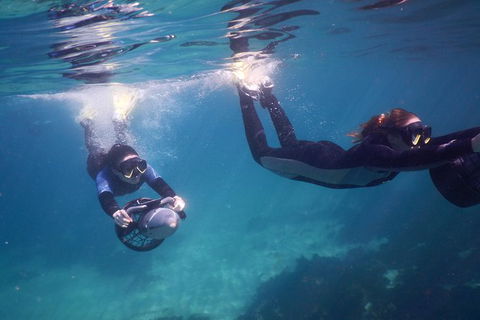 Small-Group Underwater Scooter Experience In Clovelly - Accommodation Bookings 0