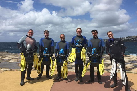 Small-Group Underwater Scooter Experience In Clovelly - Accommodation Bookings 8