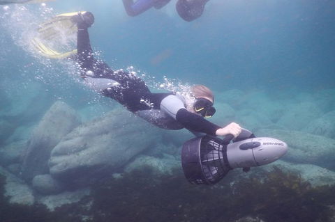 Small-Group Underwater Scooter Experience In Clovelly - Accommodation Bookings 7