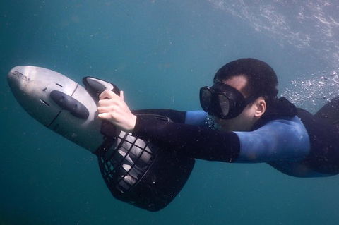 Small-Group Underwater Scooter Experience In Clovelly - Accommodation Bookings 3