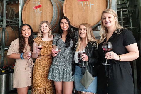 Hunter Valley Wine Tour From The Hunter With Wine Craft Beer Cheese Chocolate - Accommodation Bookings 1