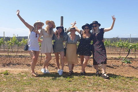 Hunter Valley Wine Tour From The Hunter With Wine Craft Beer Cheese Chocolate - Accommodation Bookings 10