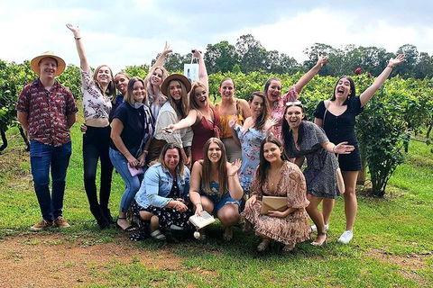 Hunter Valley Wine Tour From The Hunter With Wine Craft Beer Cheese Chocolate - Accommodation Bookings 6